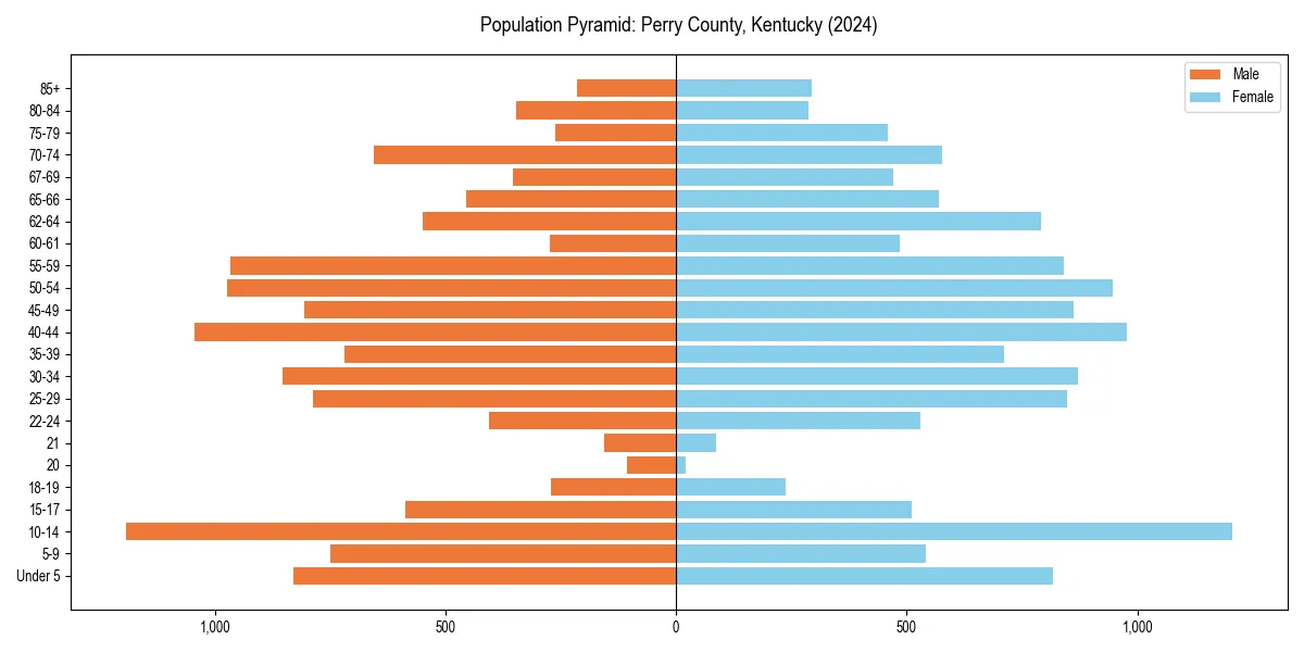 Population pyramid for 