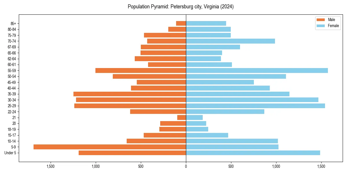 Population pyramid for 