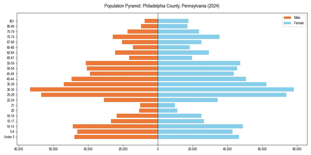 Population pyramid for 