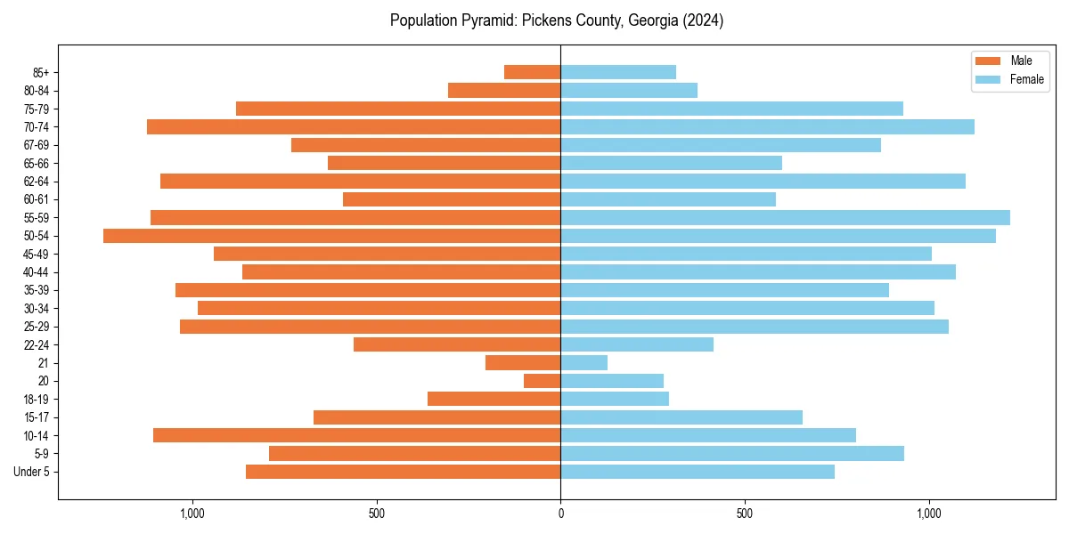 Population pyramid for 