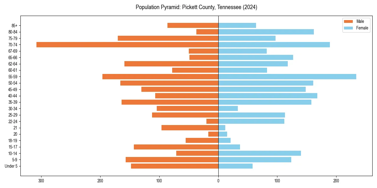 Population pyramid for 