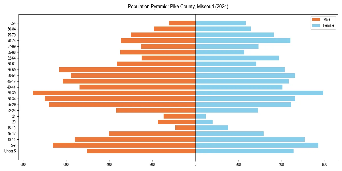 Population pyramid for 