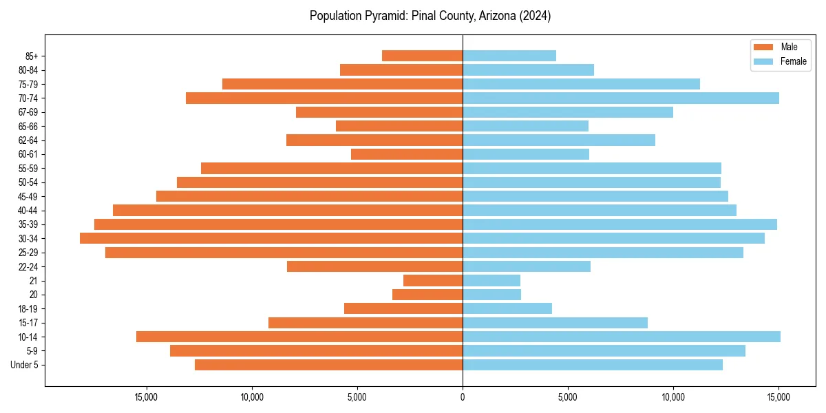 Population pyramid for 