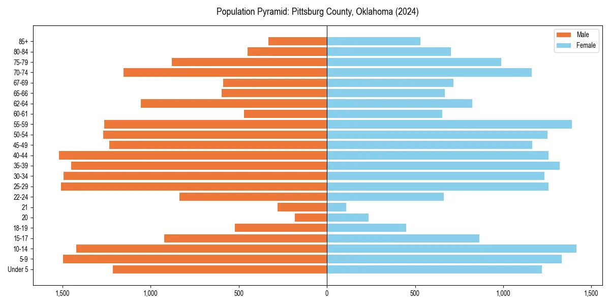Population pyramid for 