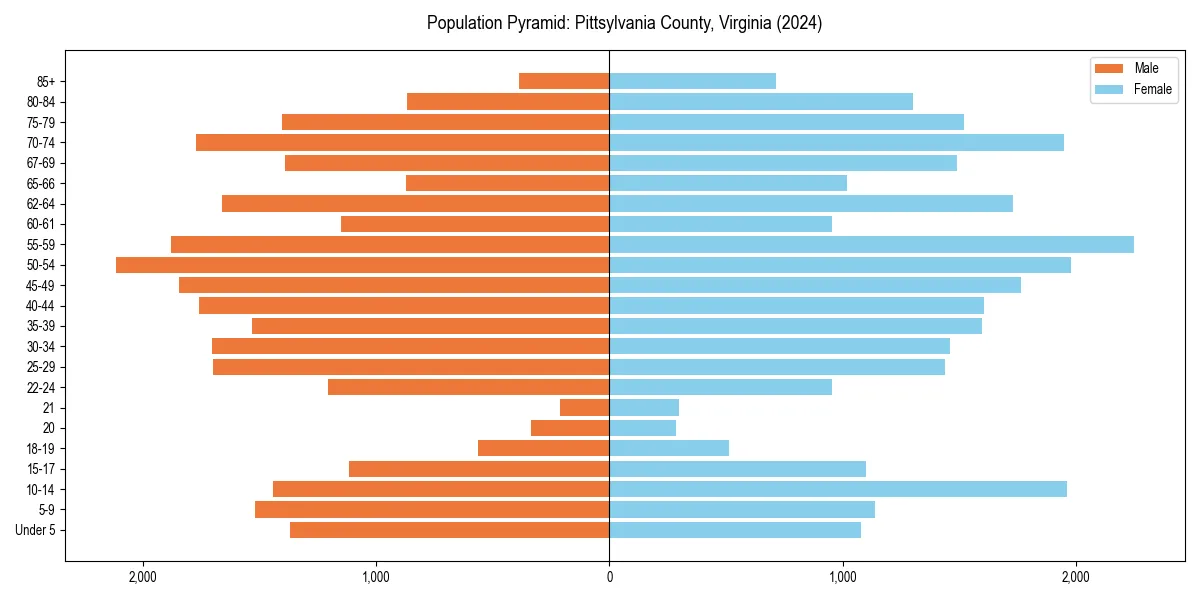 Population pyramid for 