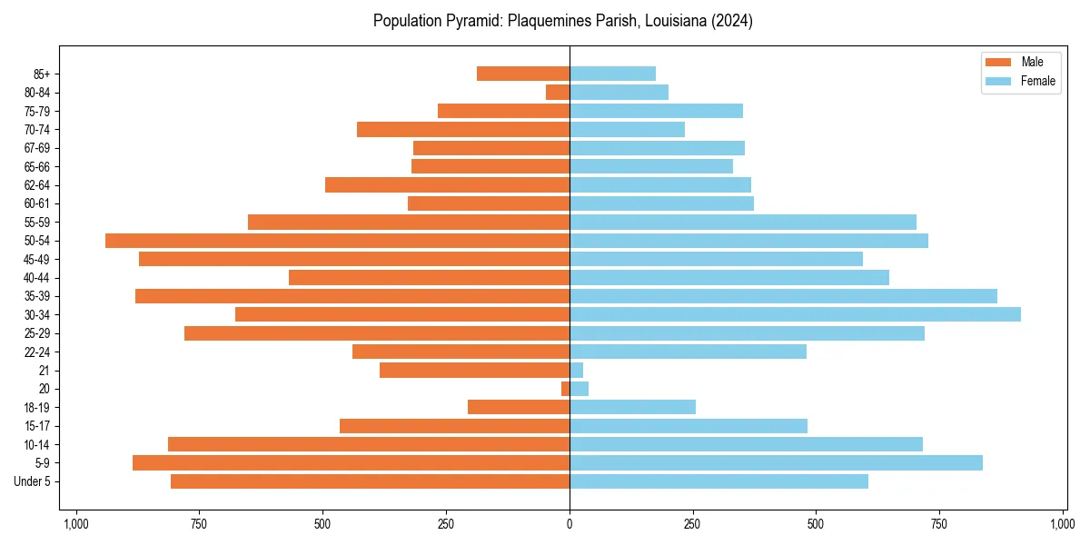 Population pyramid for 