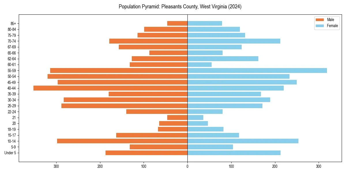 Population pyramid for 