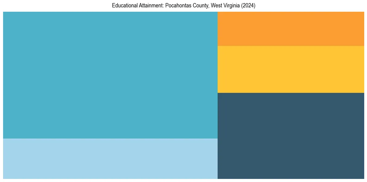 Education Treemap for  in 2024