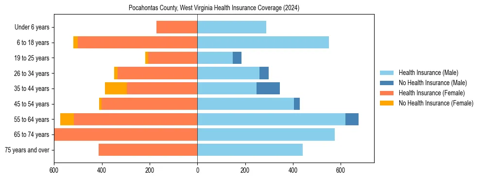 Health insurance pyramid for Pocahontas County, West Virginia