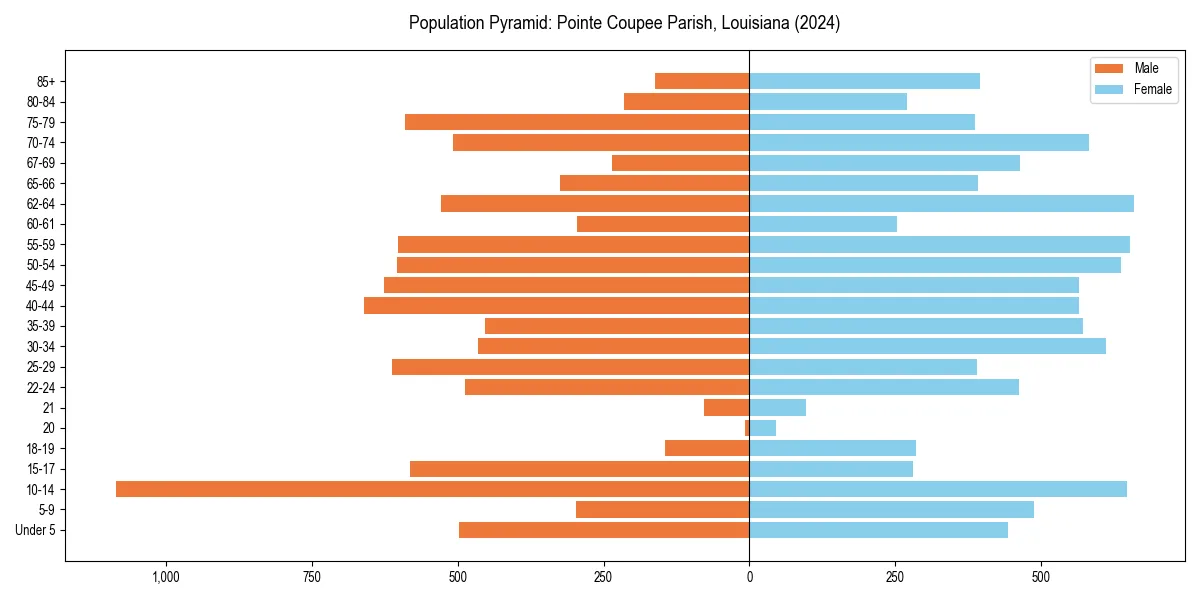 Population pyramid for 