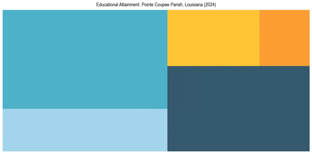 Education Treemap for  in 2024