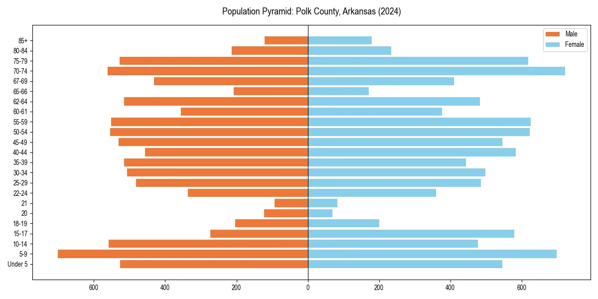 Population pyramid for 