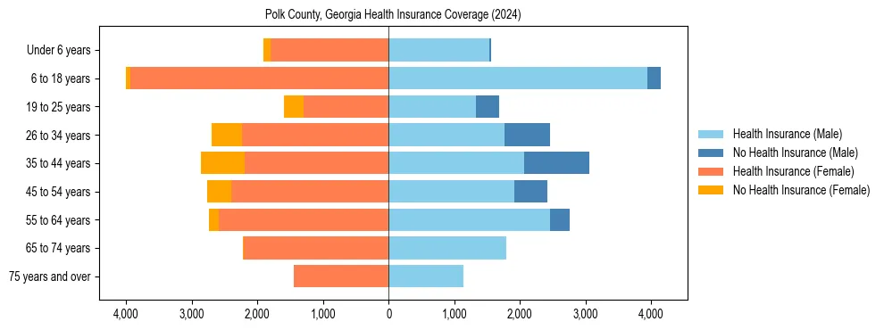 Health insurance pyramid for Polk County, Georgia