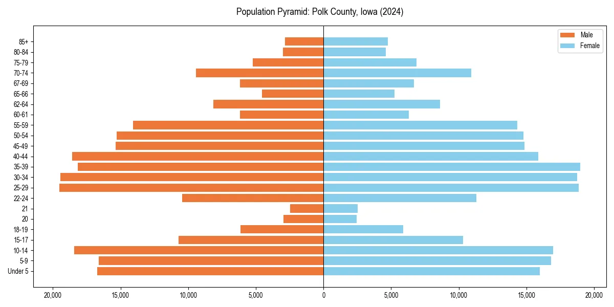 Population pyramid for 