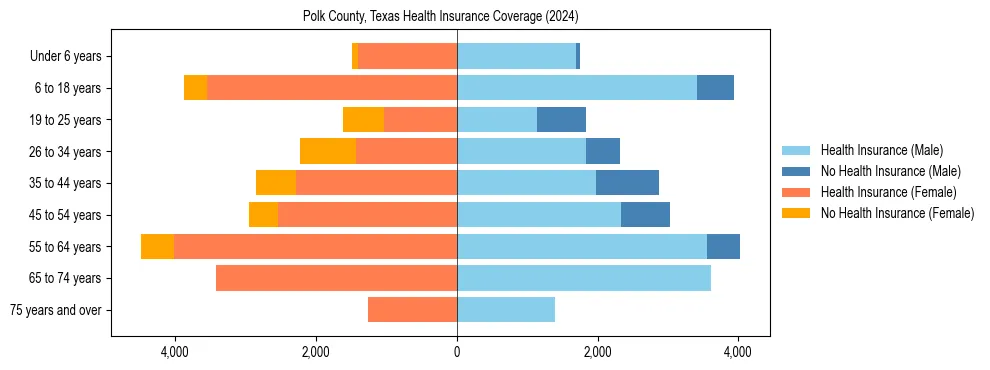Health insurance pyramid for Polk County, Texas