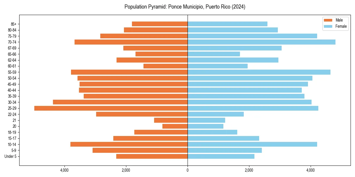 Population pyramid for 