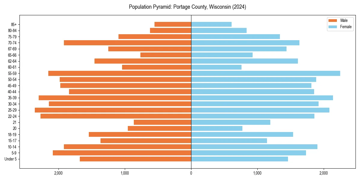 Population pyramid for 