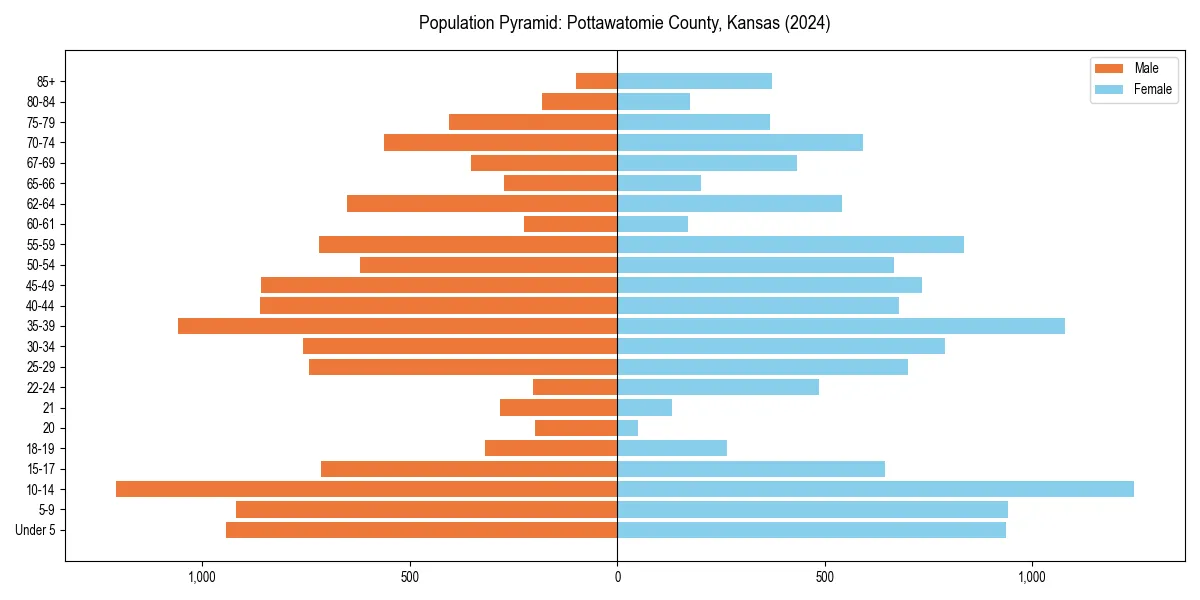 Population pyramid for 