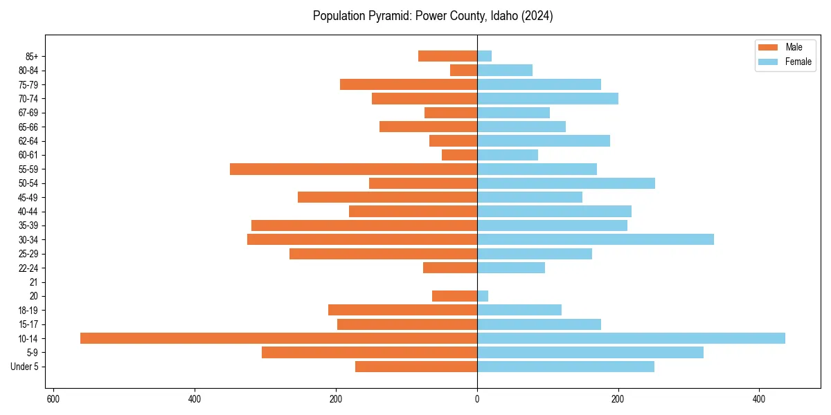 Population pyramid for 