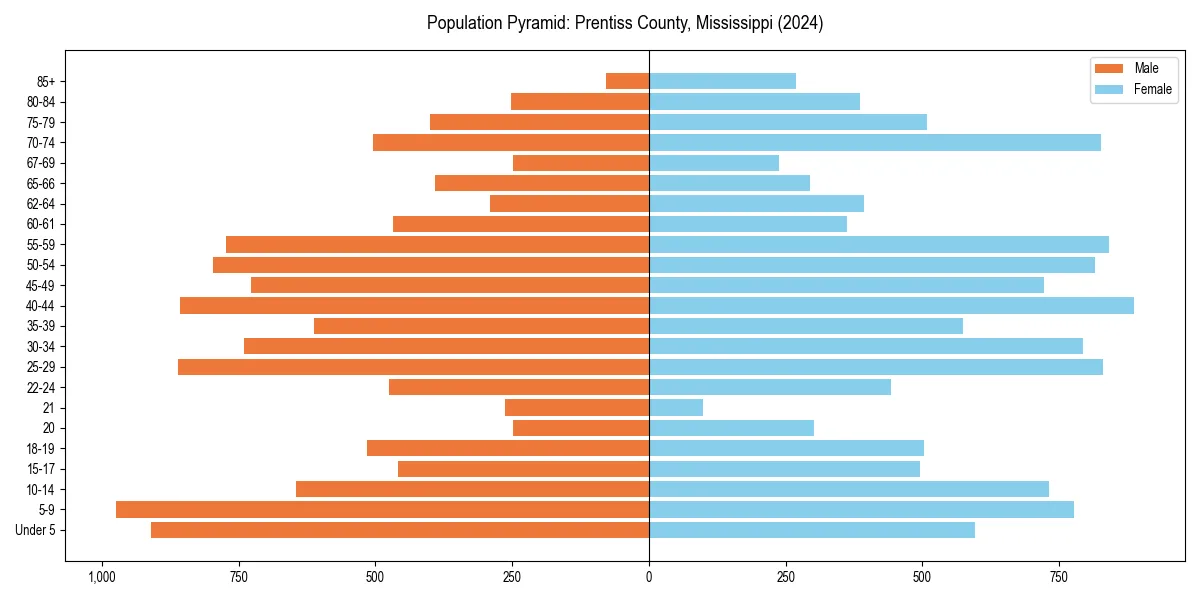 Population pyramid for 