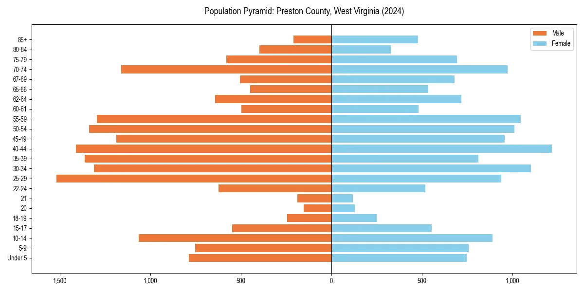 Population pyramid for 