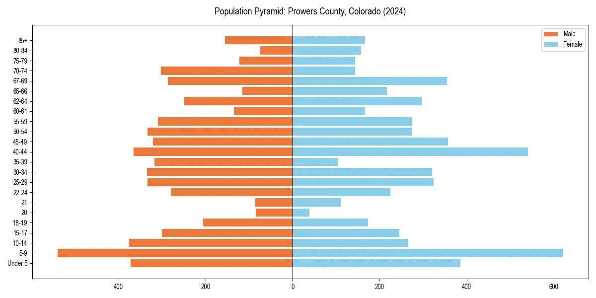 Population pyramid for 