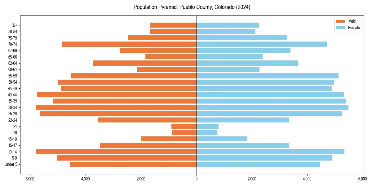Population pyramid for 