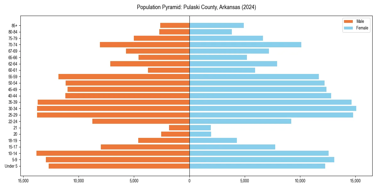 Population pyramid for 