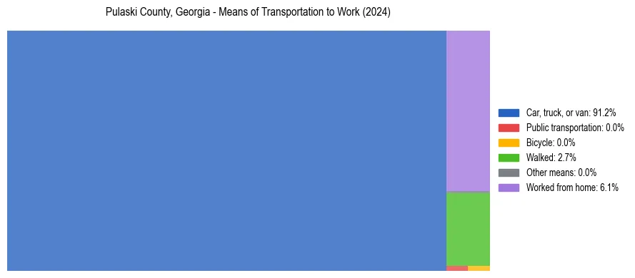 Commute modes in Pulaski County, Georgia