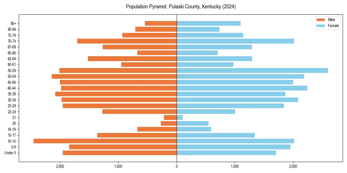 Population pyramid for 