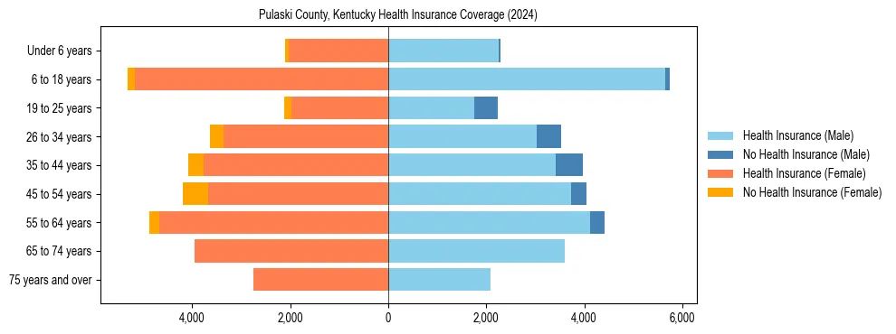 Health insurance pyramid for Pulaski County, Kentucky