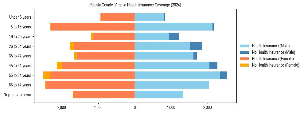 Health insurance pyramid for Pulaski County, Virginia