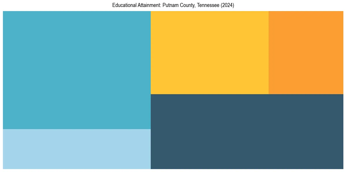 Education Treemap for  in 2024