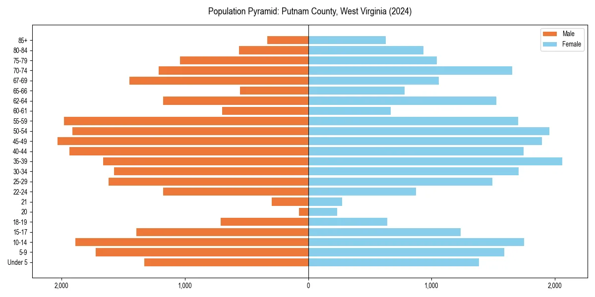 Population pyramid for 