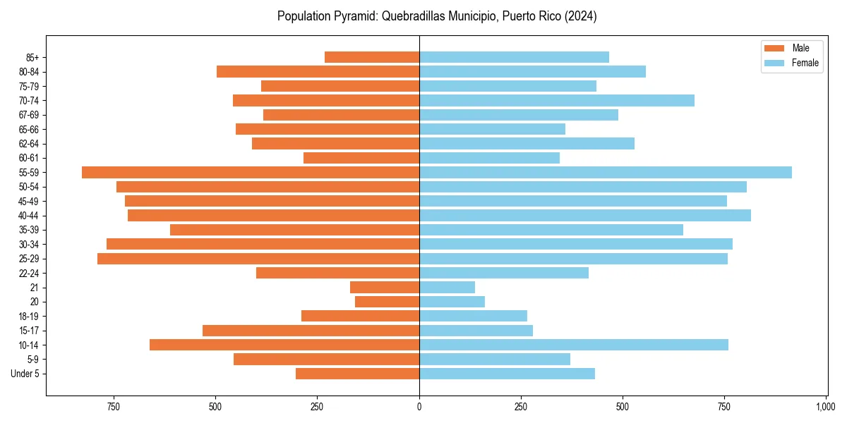 Population pyramid for 