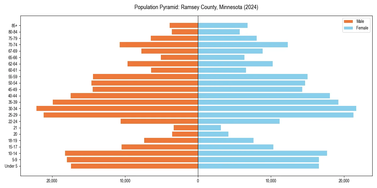 Population pyramid for 