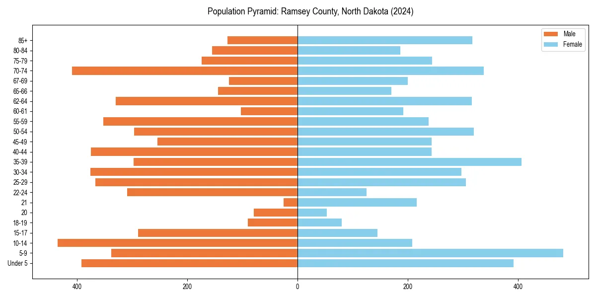 Population pyramid for 