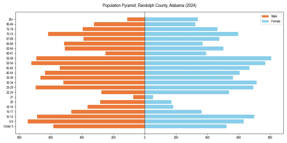 Population pyramid for 