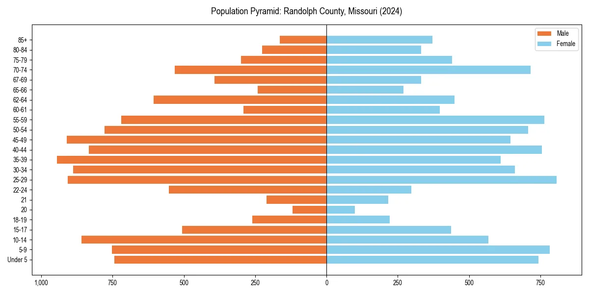 Population pyramid for 
