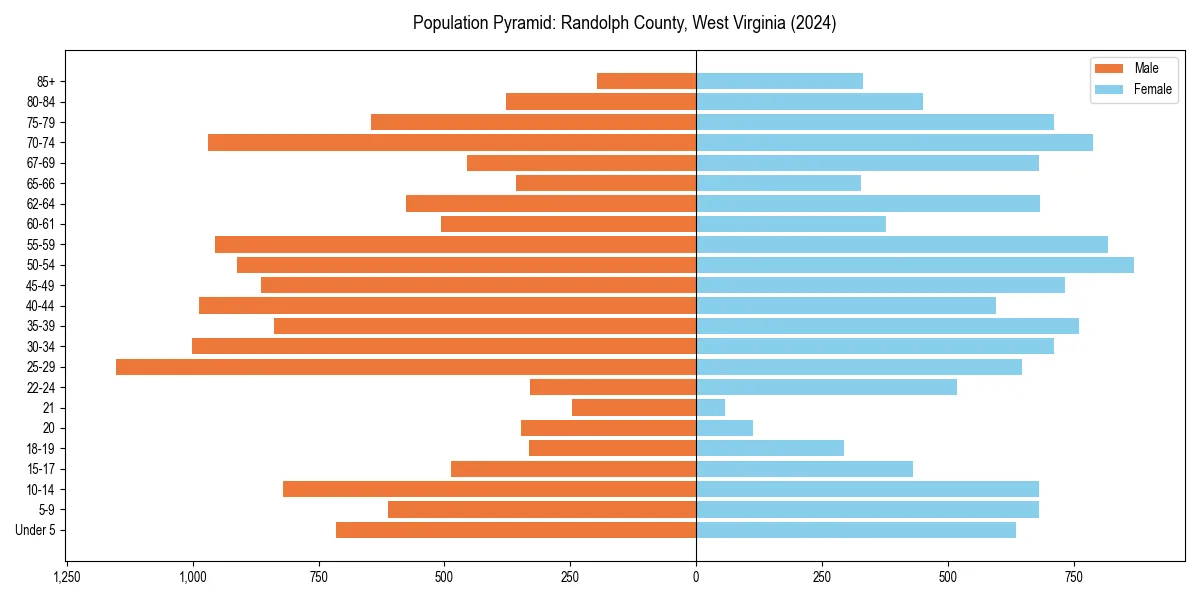 Population pyramid for 