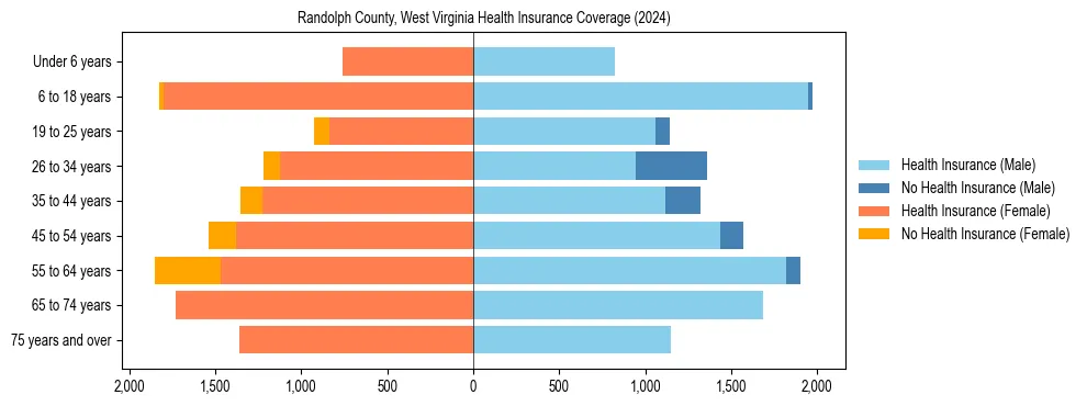 Health insurance pyramid for Randolph County, West Virginia