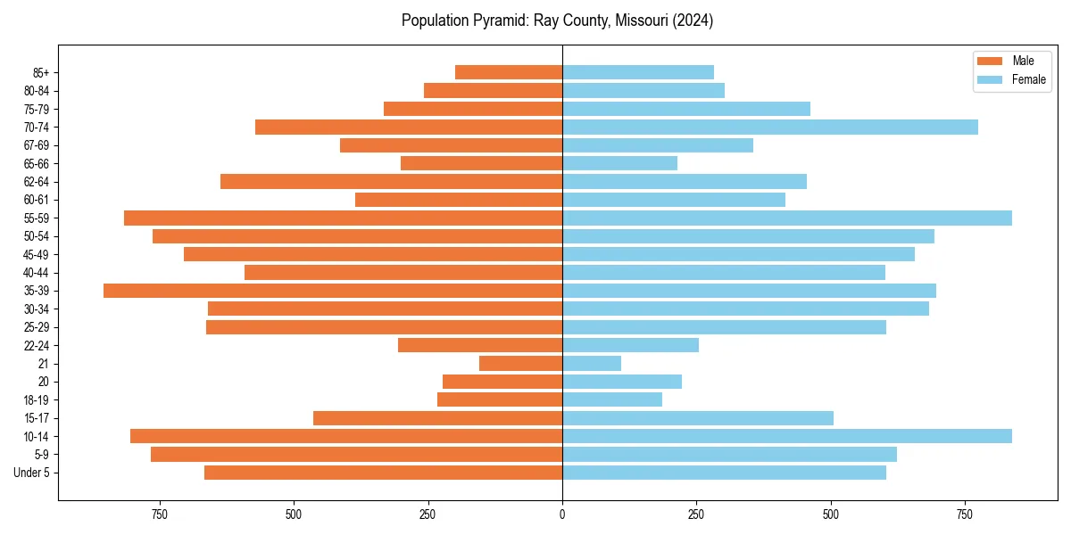 Population pyramid for 