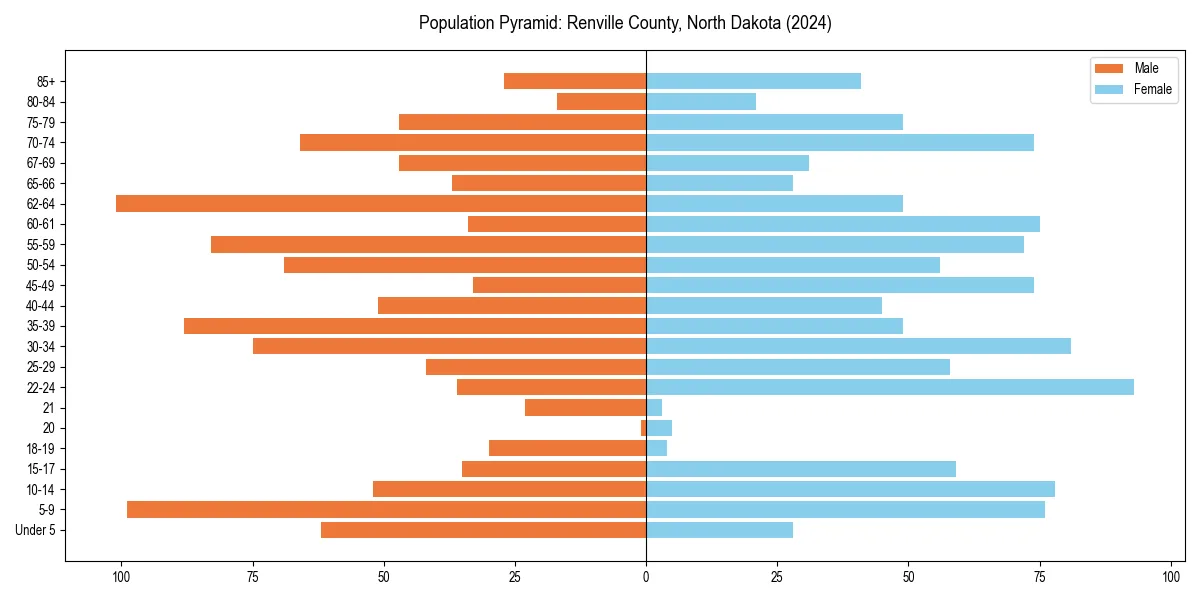 Population pyramid for 