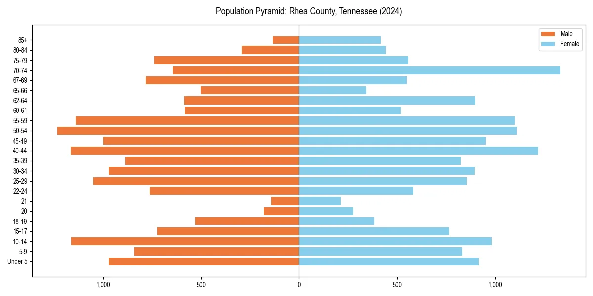 Population pyramid for 