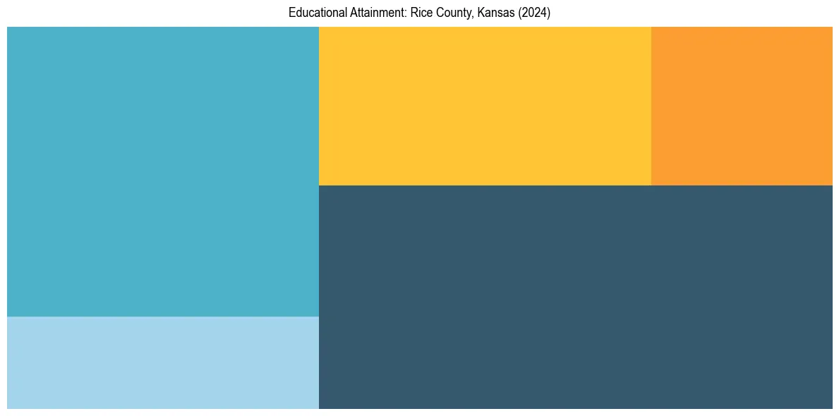 Education Treemap for  in 2024
