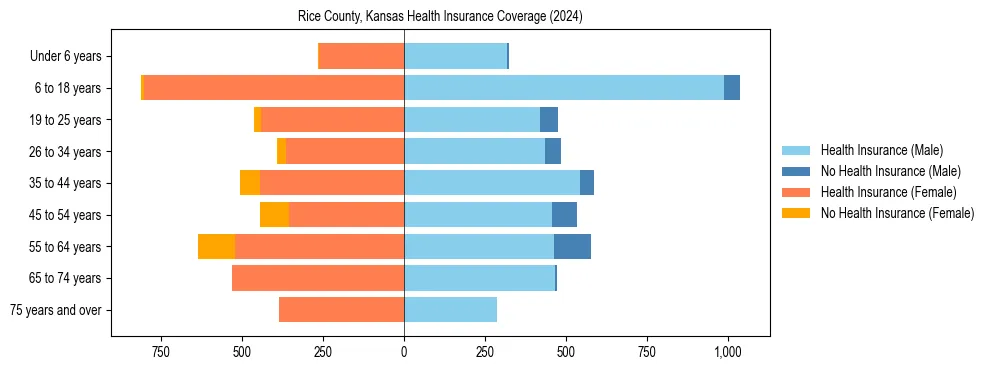 Health insurance pyramid for Rice County, Kansas