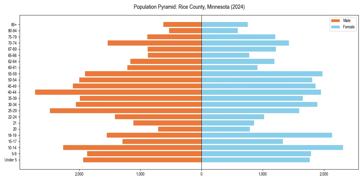 Population pyramid for 