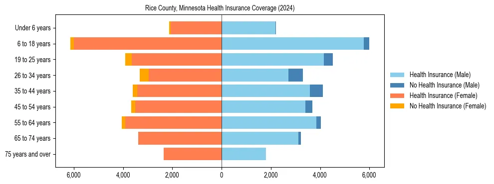 Health insurance pyramid for Rice County, Minnesota