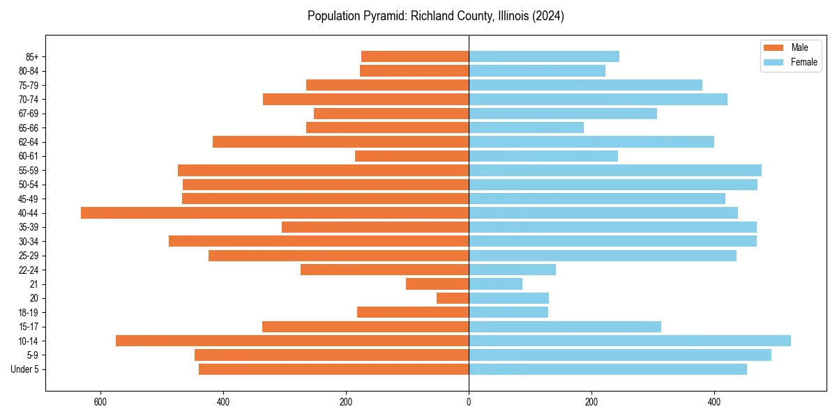 Population pyramid for 