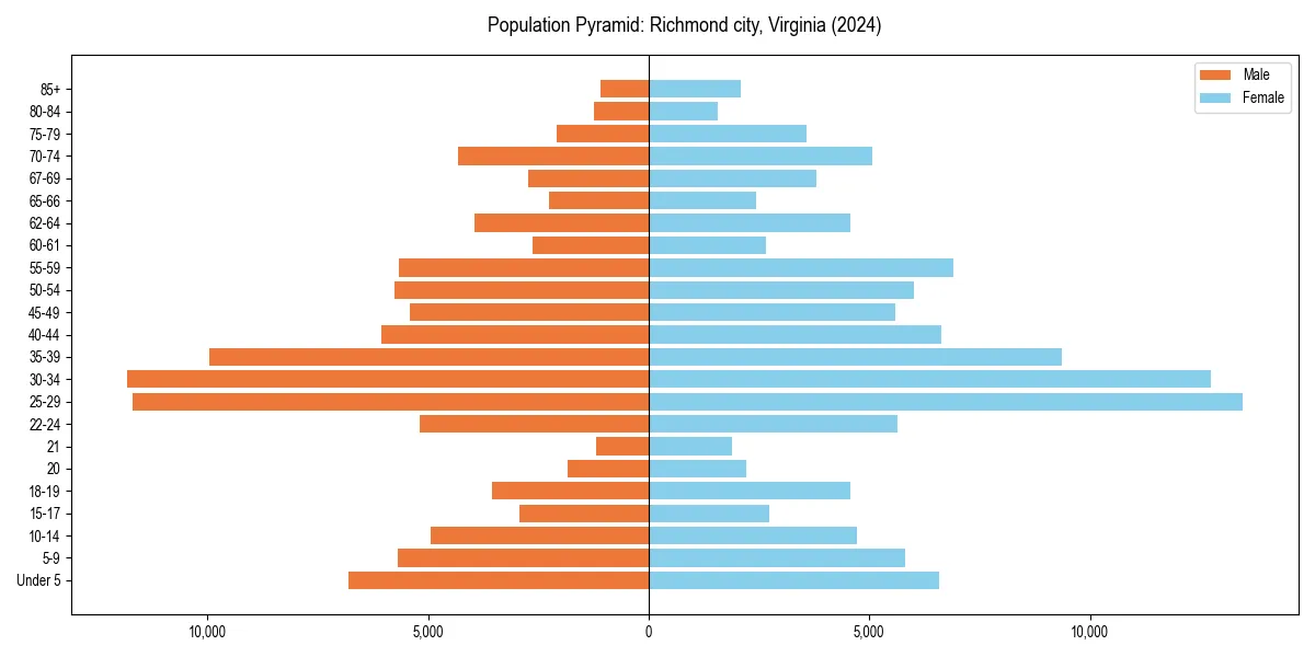 Population pyramid for 